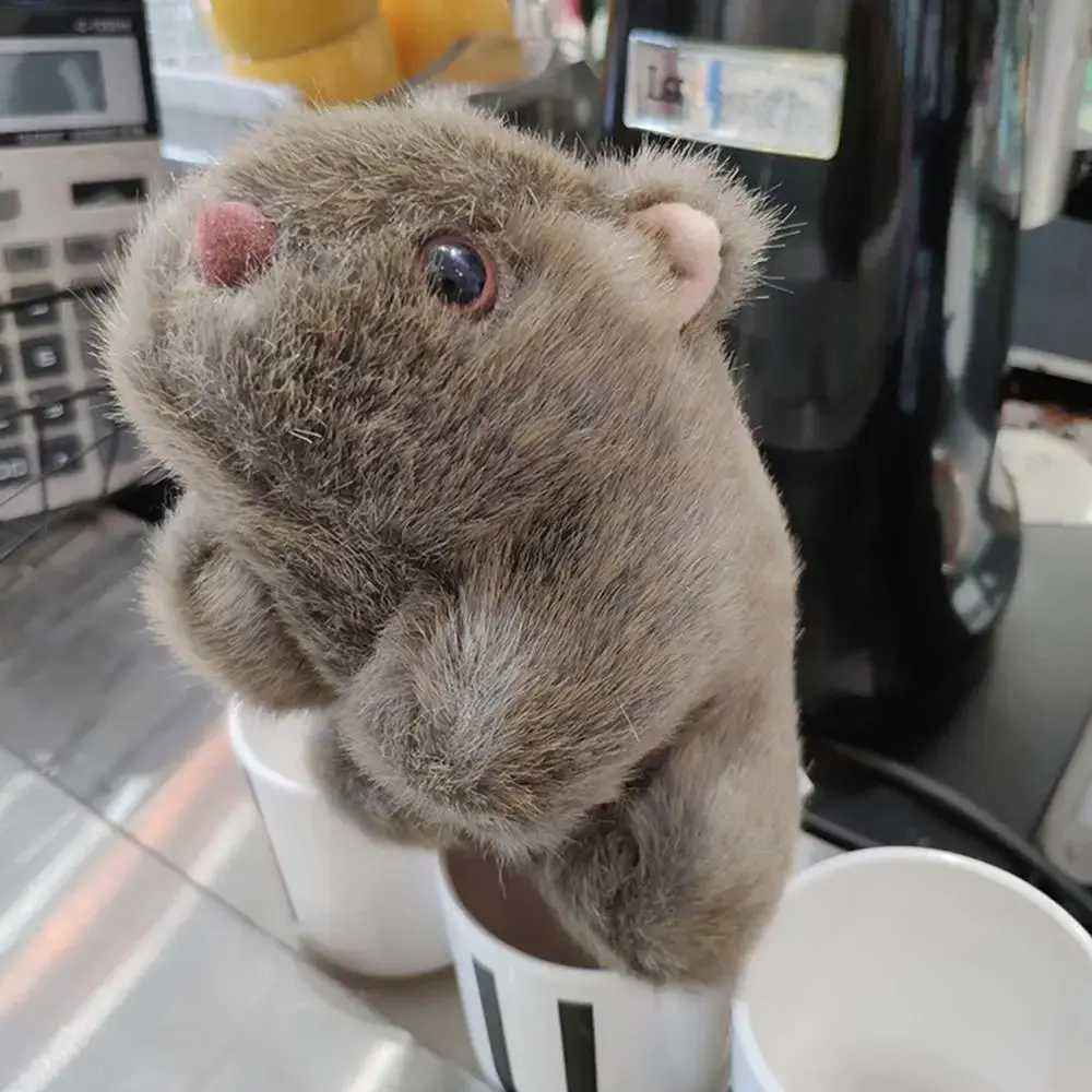 Animal 18-28cm Simulation Wombat Plush Toys Stuffed Wild  Guinea Pig Cavia Porcellus Mouse Dolls for Gifts