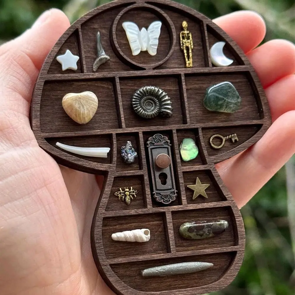 Multicolor Miniature Trinket Shelf Heart Star Nut Variety Grids Mini Jewelry Holder Compartments Moon Mushroom