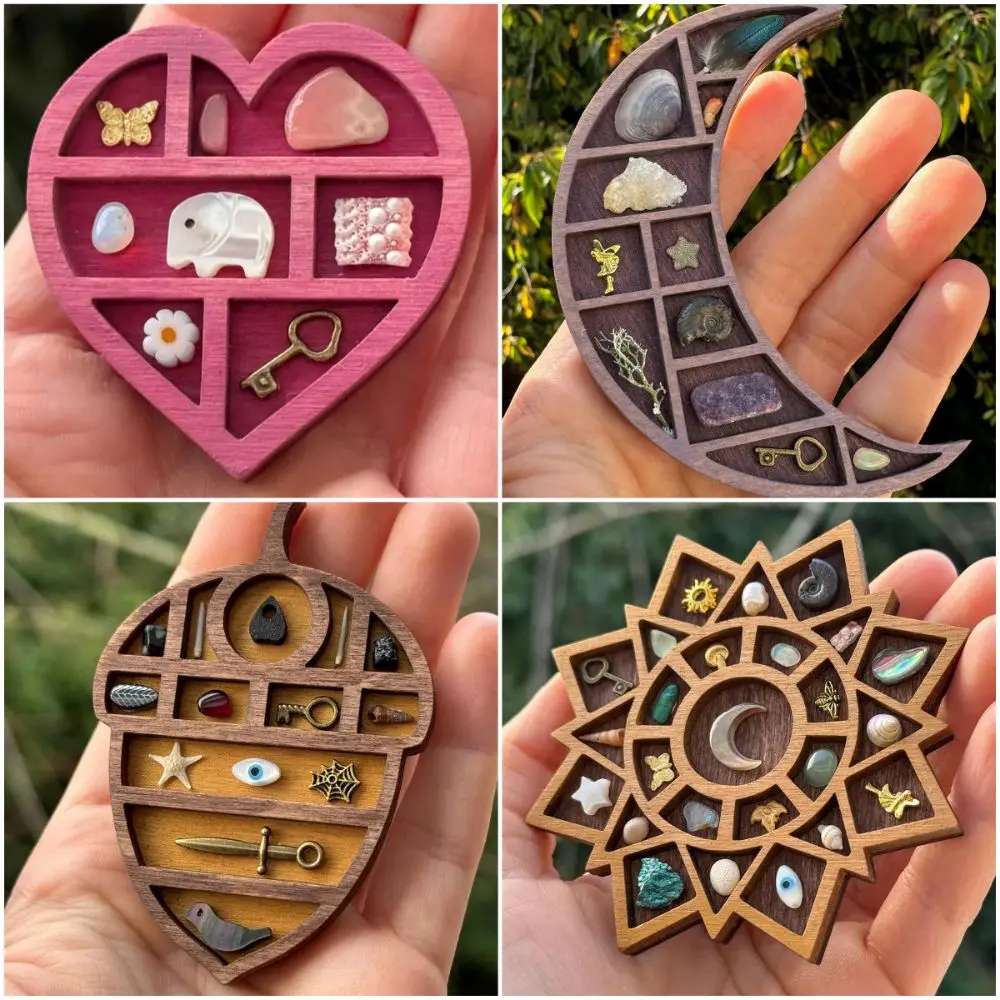 Multicolor Miniature Trinket Shelf Heart Star Nut Variety Grids Mini Jewelry Holder Compartments Moon Mushroom