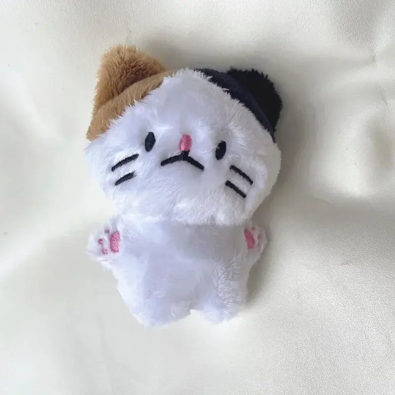 10cm ENHYNegs Plush Simmunge JAY JUNGWON HEESEUNG Stuffed Toys Keyring Kawaii Cartoon JAKE Bag Pendant Plushie Korean Fans