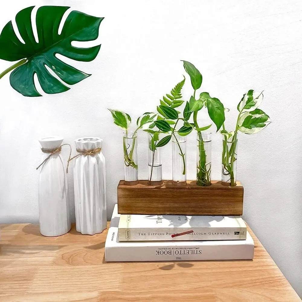 Wooden Stand Hydroponic Vase Transparent Test Tube Shape Flower Vase Creativity Minimalist Hydroponic Plants Container