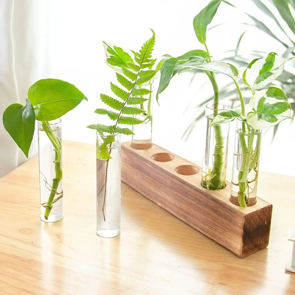 Wooden Stand Hydroponic Vase Transparent Test Tube Shape Flower Vase Creativity Minimalist Hydroponic Plants Container