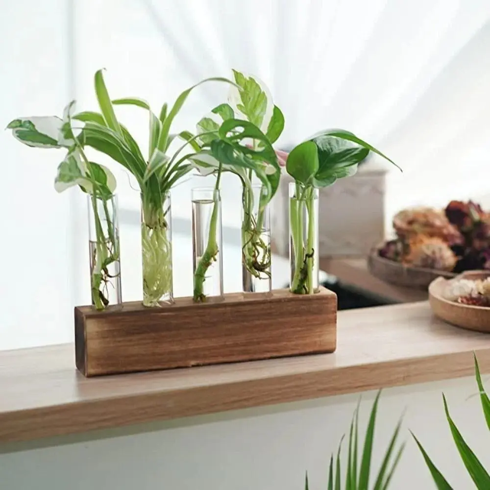 Wooden Stand Hydroponic Vase Transparent Test Tube Shape Flower Vase Creativity Minimalist Hydroponic Plants Container