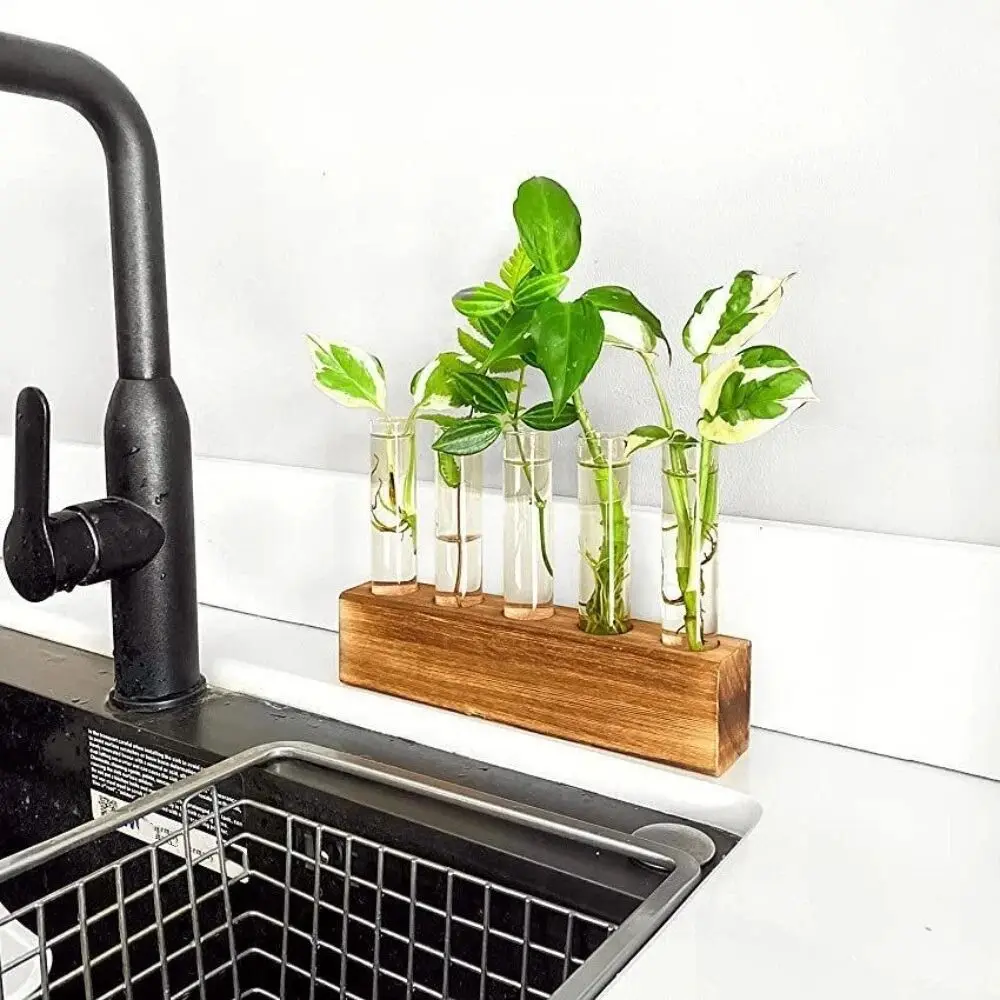 Wooden Stand Hydroponic Vase Transparent Test Tube Shape Flower Vase Creativity Minimalist Hydroponic Plants Container