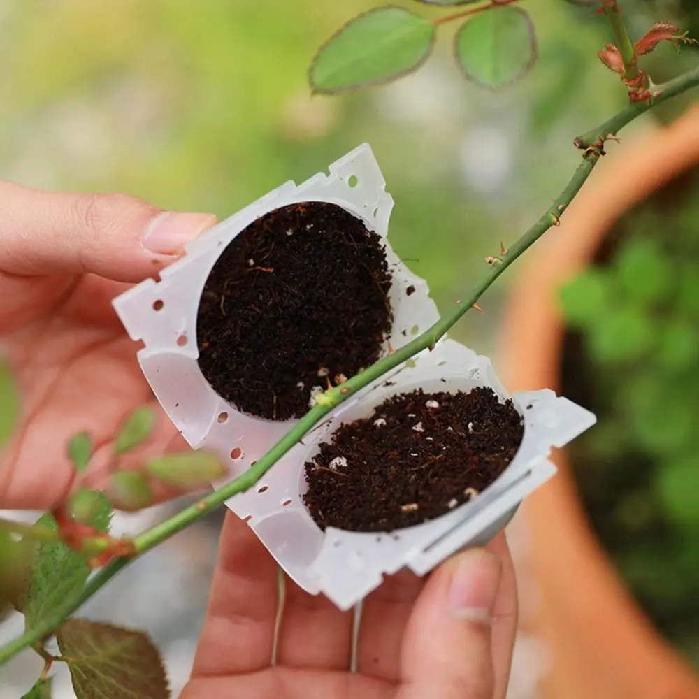 Propagation Ball Botany Root Controller Plastic Breeding Case Grafted Tree Rooting Ball Growing Box High Pressure Incubator