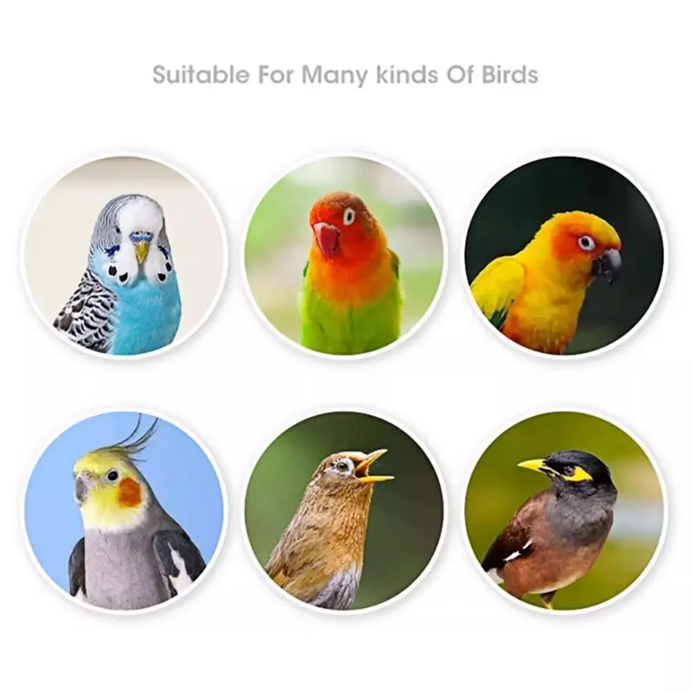 Wooden Parrot Platform Detachable Interactive Play Bird Perch Stand Birdcage Accessories Relieve Boredom Bird Gnawing Puzzle Toy