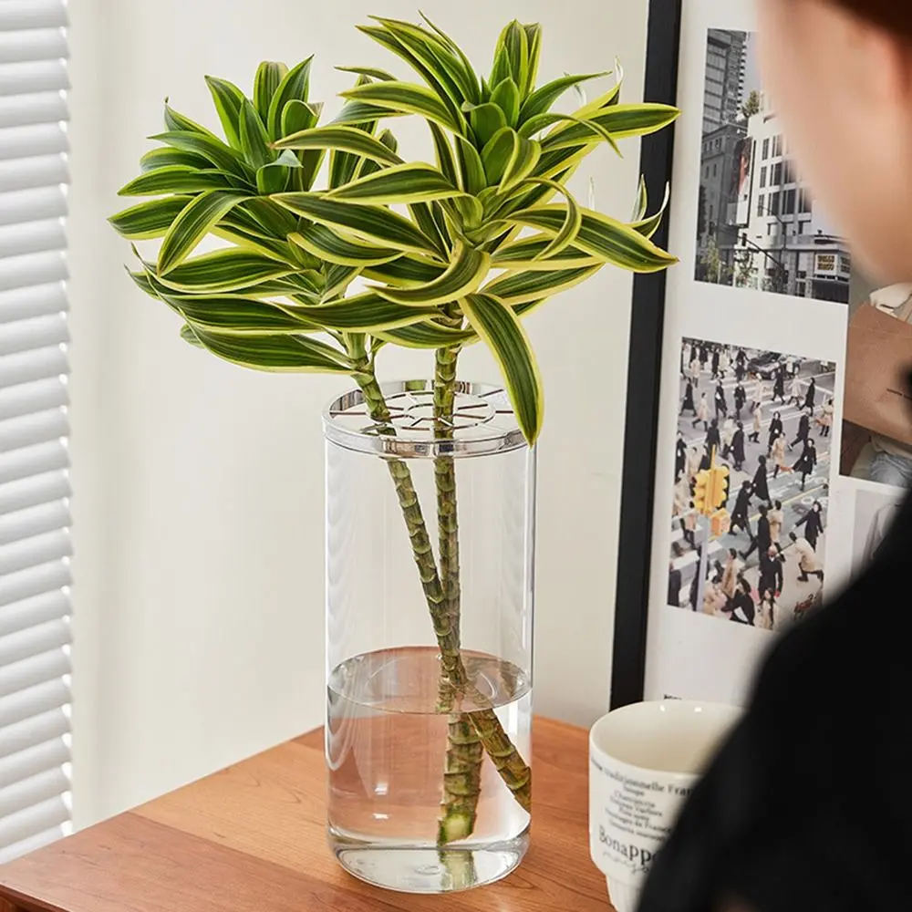 Hydroponic Plant Transparent Flower Vases Stable Thickened Smooth Surface Plant Pot with Flower Grid Plastics