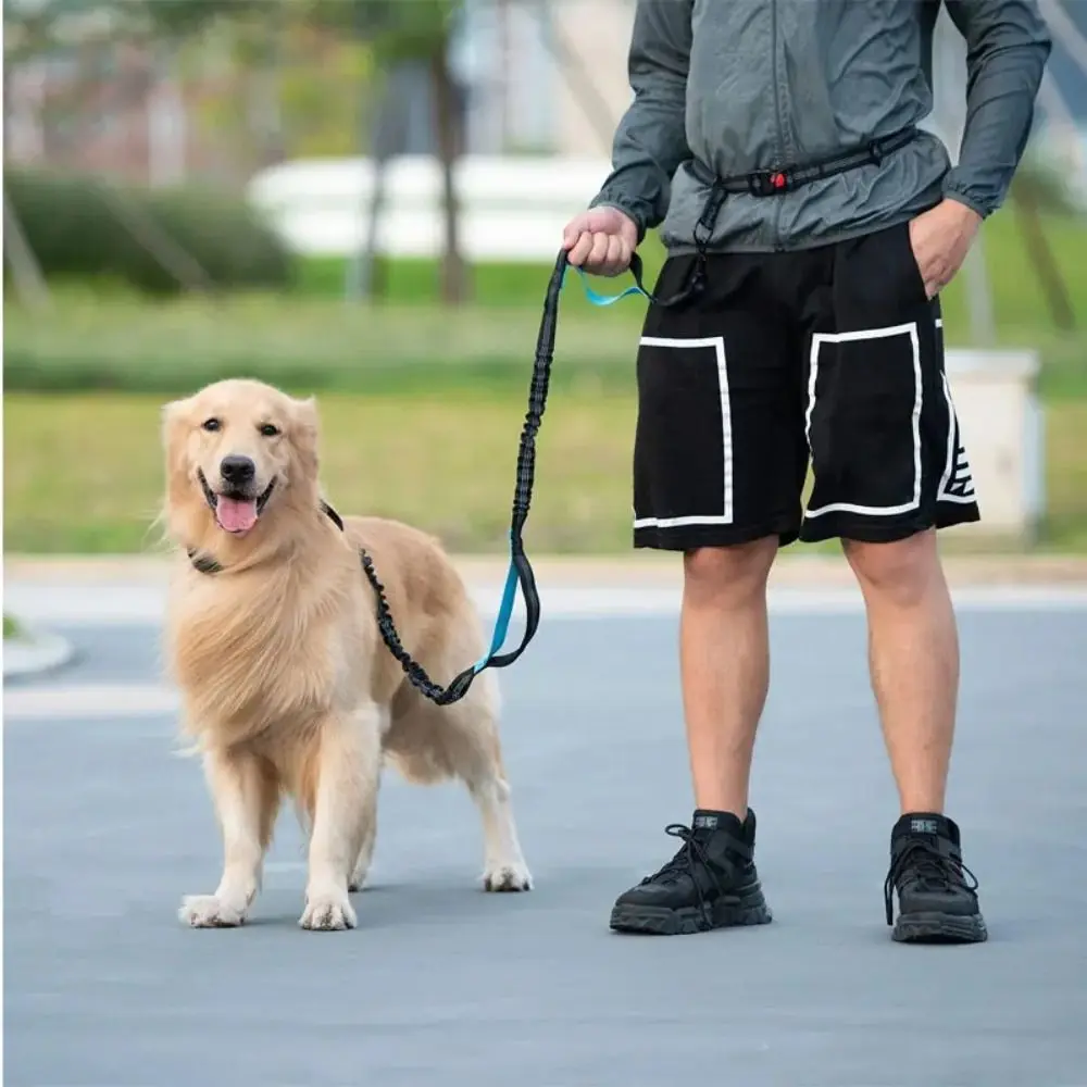 Portable Single/Double Rope Sports Waist Bag Adjustable Waistband Hands Free Dog Leash Reflective Dog Traction Rope Hiking