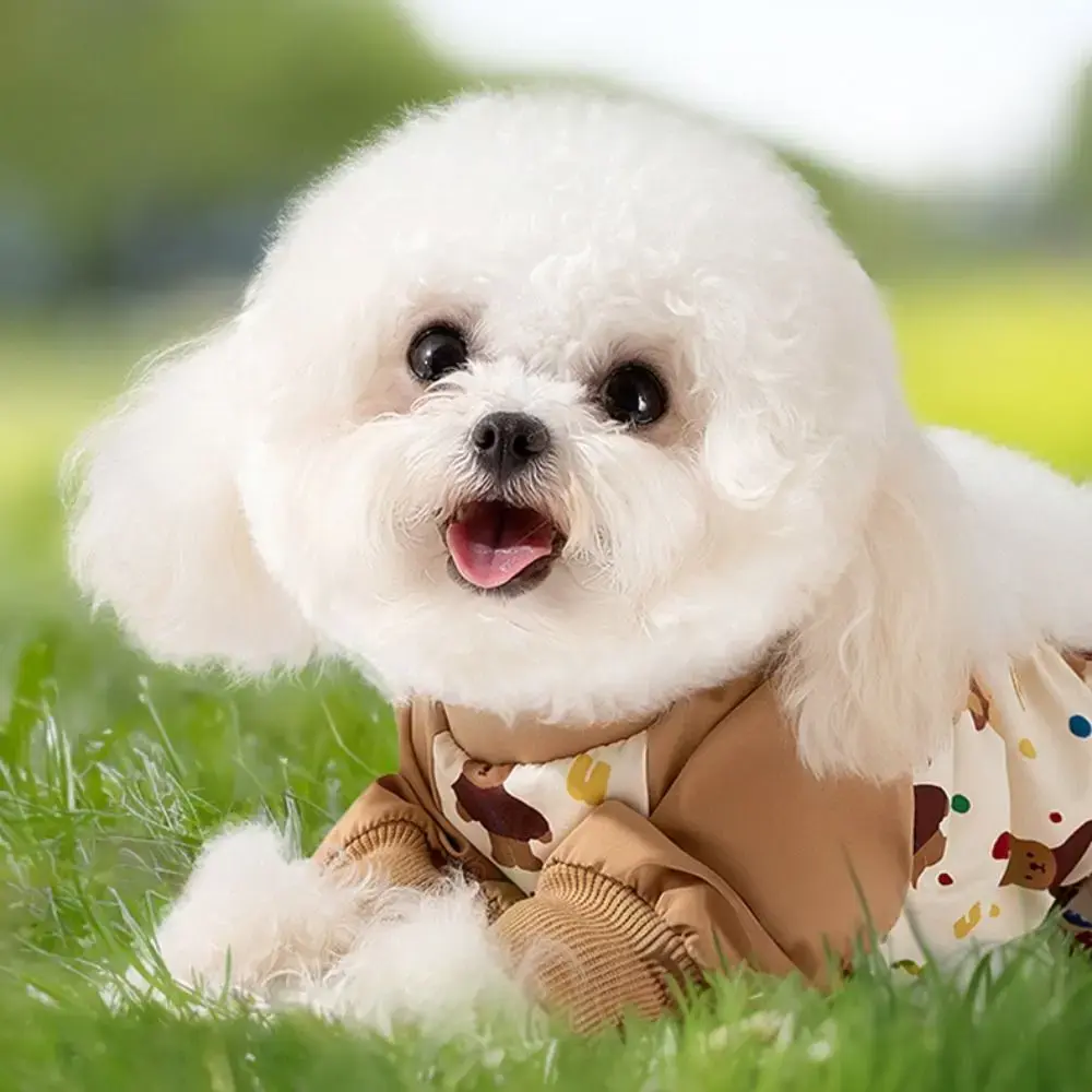 Waterproof Pet Strolling Going Out Pants Dust-proof Back Elastic Band Dog Four Legged Pants S~XXL Cartoon