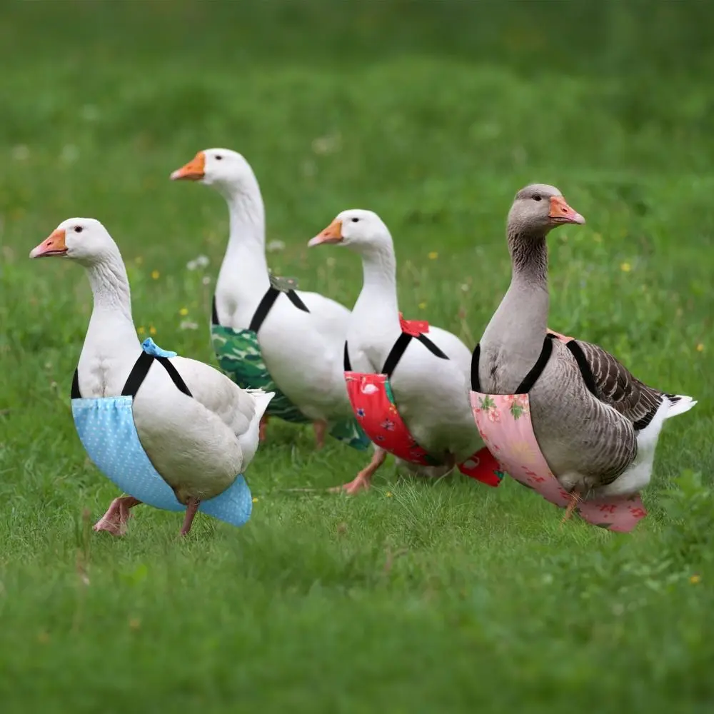 New Adjustable Poultry Diaper Reusable Breathable Duck Supplies Comfortable Bow Tie Duck Accessories Poultry Care