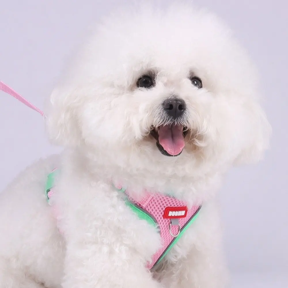 Spliced Colors Dog Harness Kit Breathable Adjustable Pet Walking Straps Anti-Pull Design Chest Strap Harness