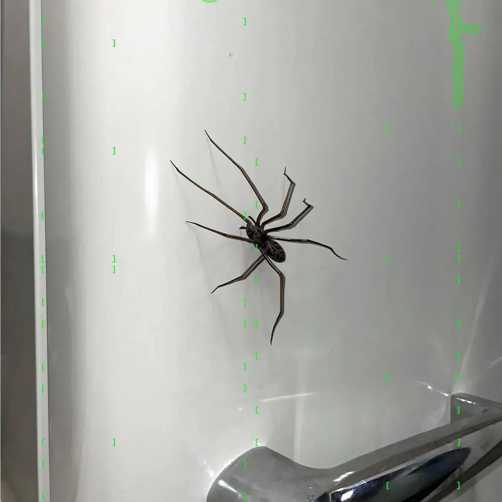 Funny Fridge Magnets Spider Refrigerator Sticker Flexible Legs Strong Adhesive 3D Spider Fridge Magnet Durable 3D Printed