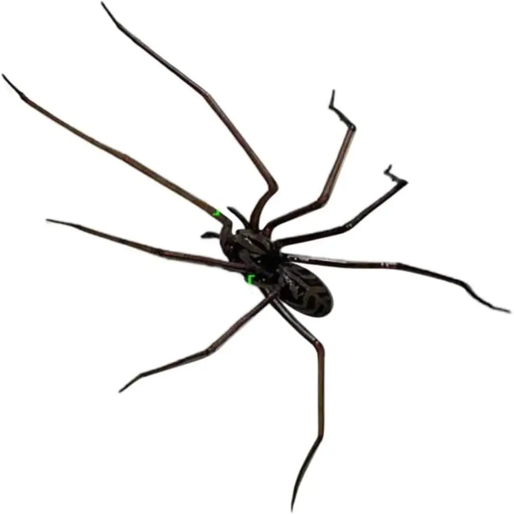 Funny Fridge Magnets Spider Refrigerator Sticker Flexible Legs Strong Adhesive 3D Spider Fridge Magnet Durable 3D Printed