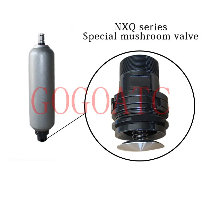 NXQ  1L  accumulator bacteria valve 114 diameter accumulator accessories oil valve