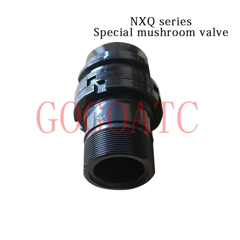 NXQ  1L  accumulator bacteria valve 114 diameter accumulator accessories oil valve