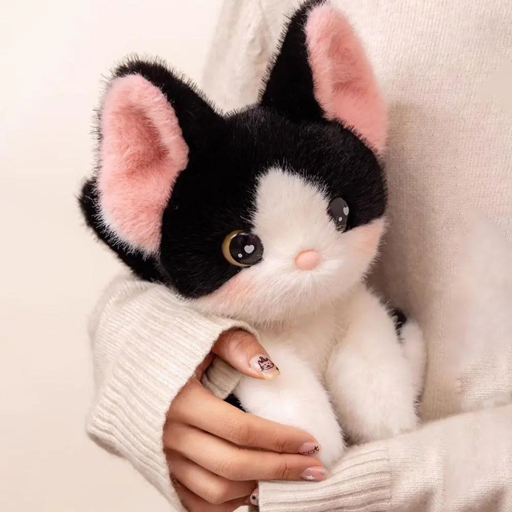 24cm Kawaii Cat Plush Doll Devon Rex Siamese Cat Plush Toy Cute Decoration Accompany Sleep Toy Kids Birthday Gift