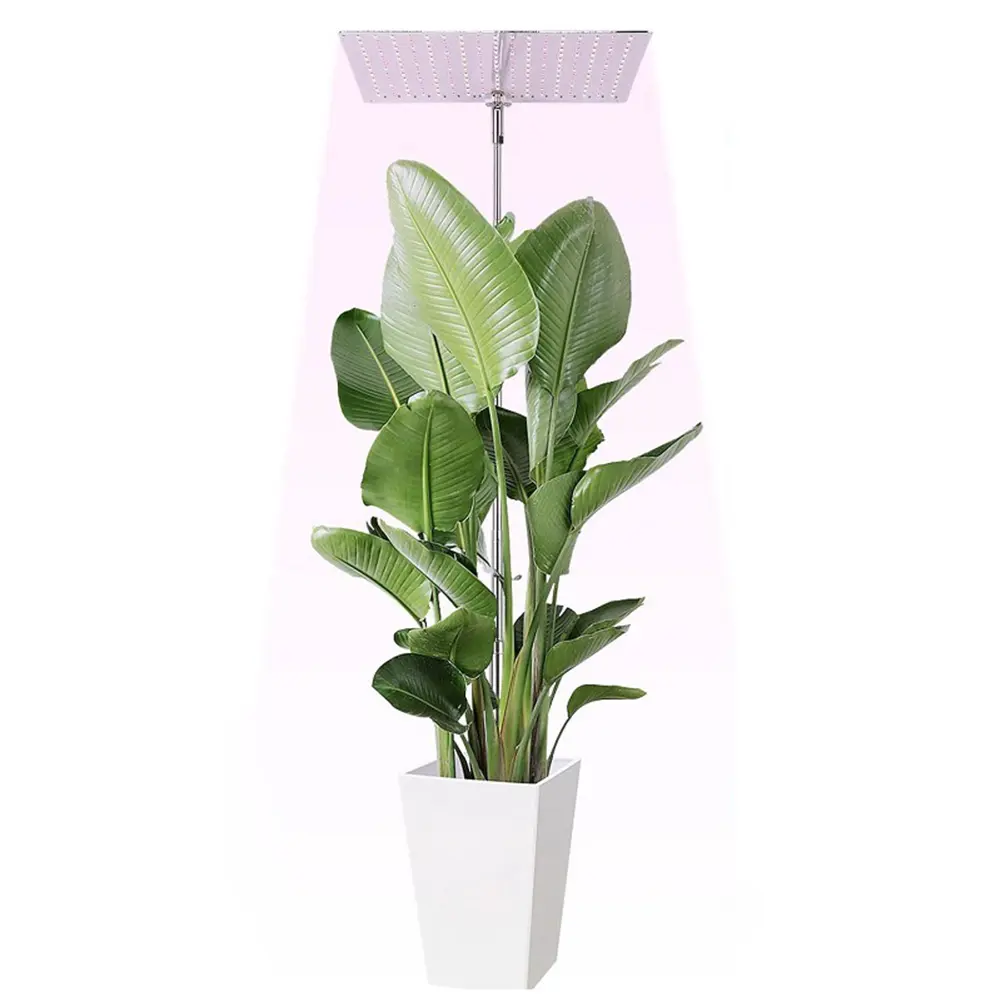 LED Full Spectrum Lifting Light USB Charging Plant Fill Light Indoor Grow Light for Seedling Green Plant Aquarium Succulent