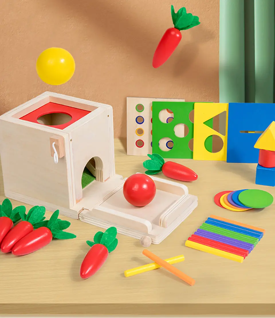 Wooden Montessori Toys Play Kit Object Permanence Box Coin Carrot Toddler Early Development Shape Sorter Ball Drop Toys for Age