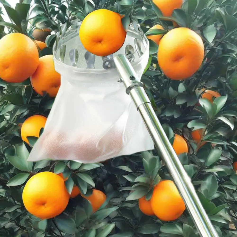 Stainless Steel Splicing Rod High Tree Orchard Picking Tool Fruit Picking Tool Fruits Catcher for Apples Mango Lemon Orange