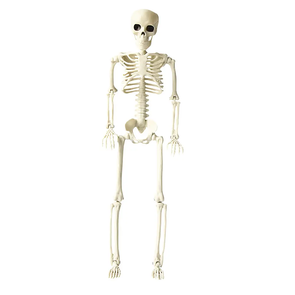 Halloween Movable Skull Haunted House Simulation Scary Movable Skull Home Decoration Festive Ornament for Carnival Theme Parties
