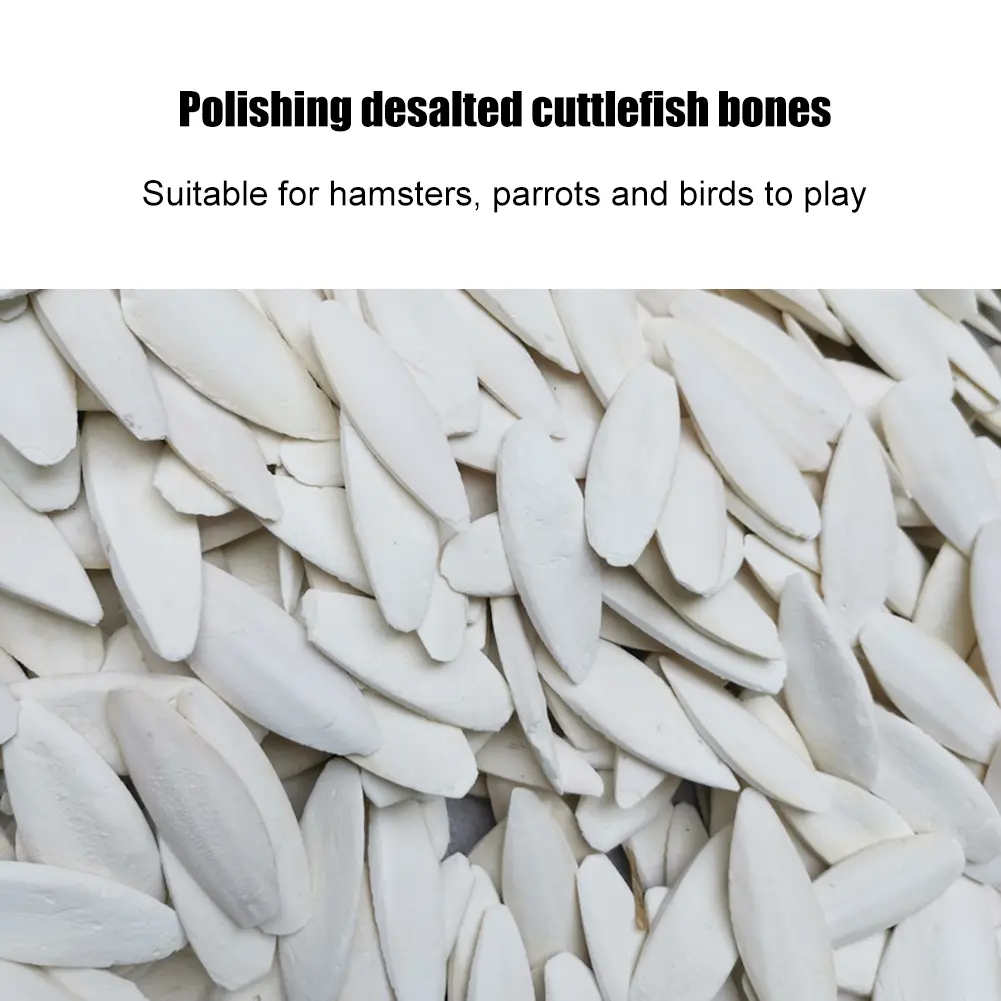 10pcs Natural Cuddle Bone Calcium Supplement Pet Bird Food Edible Chewing Cuttlefish Bone Nutritional Supplements Gifts for Pets