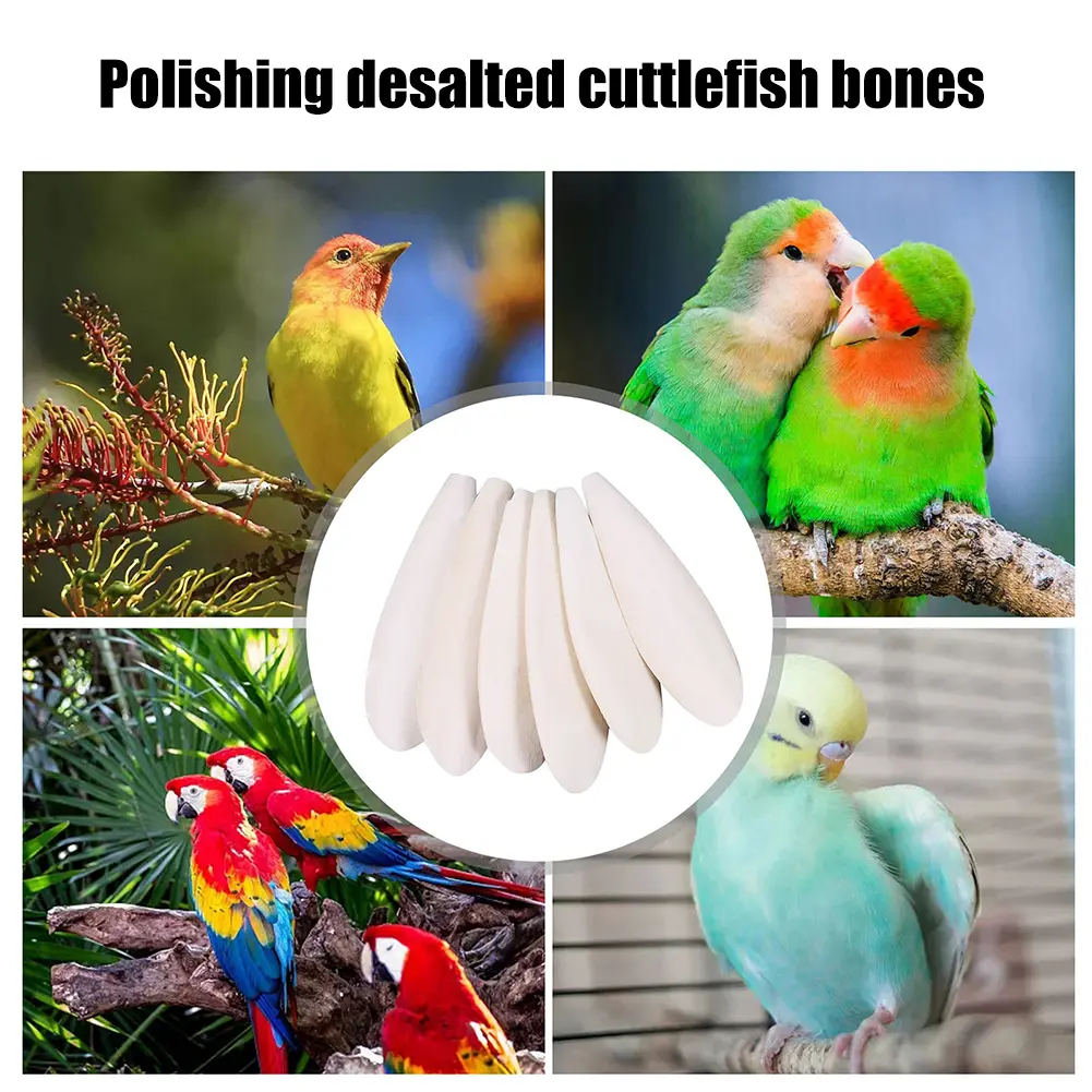 10pcs Natural Cuddle Bone Calcium Supplement Pet Bird Food Edible Chewing Cuttlefish Bone Nutritional Supplements Gifts for Pets