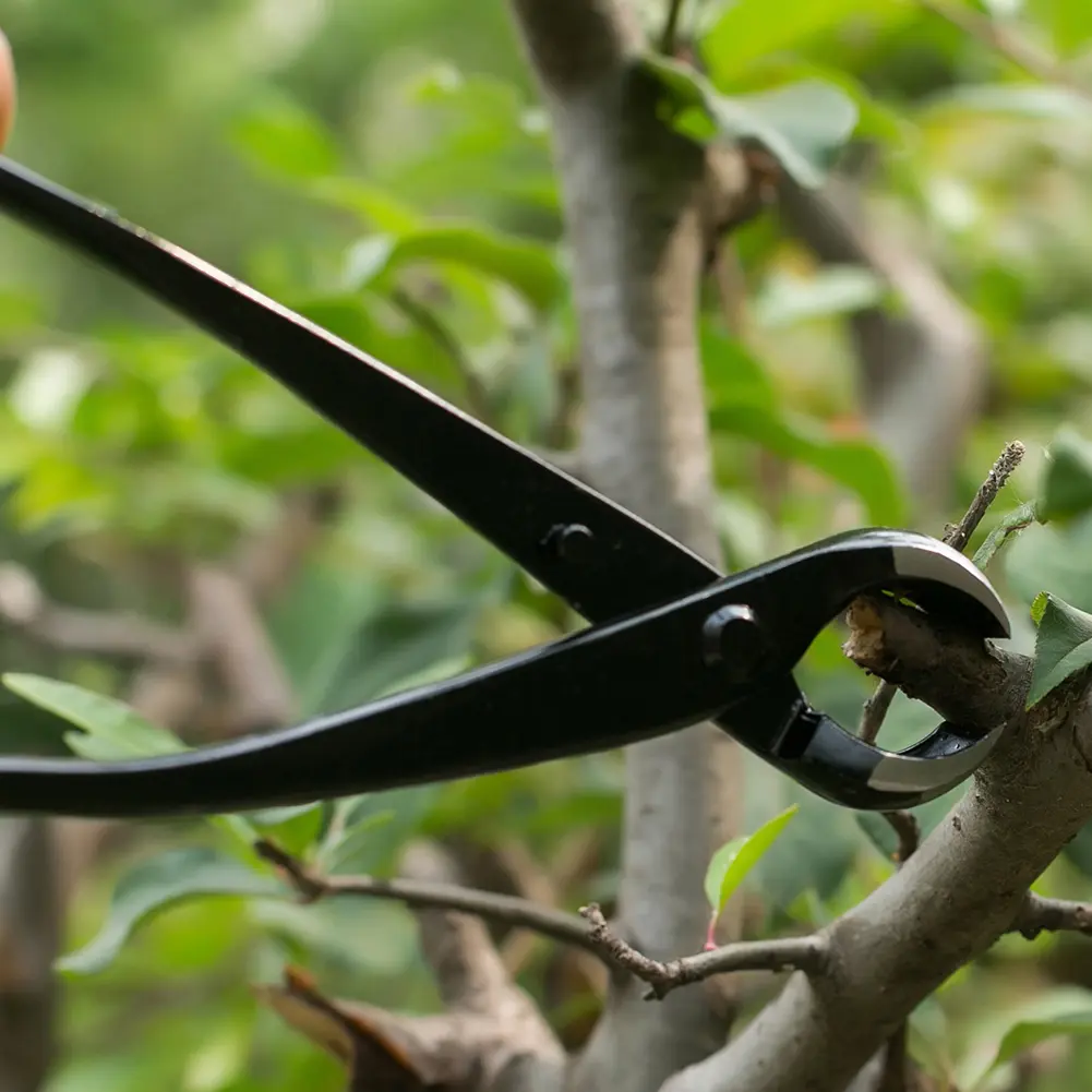 210mm Gardening Plant Branch Styling Maintenance Tools Round Nose Pruning Pliers