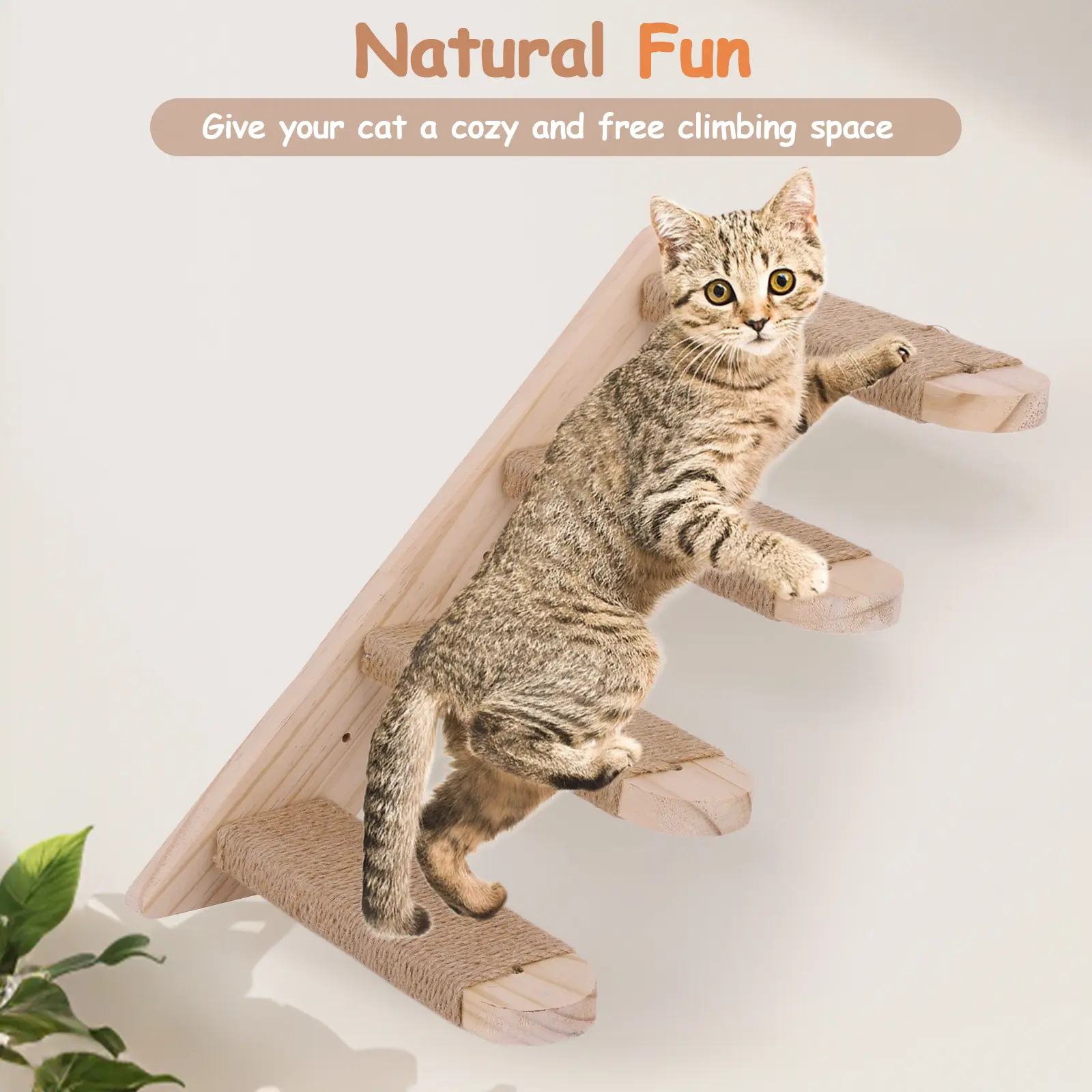 Cat Climbing Shelf Wooden Cat Wall Shelves Wall Mounted Cat Climbing Ladder for Cats Perch Shelves