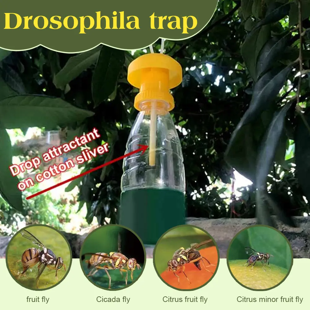 20Pcs Fruit Fly Traps with Fly Attractant Liquid Plastic Fruit Fly Killer Reusable for Courtyard Terrace Patio Pest Control