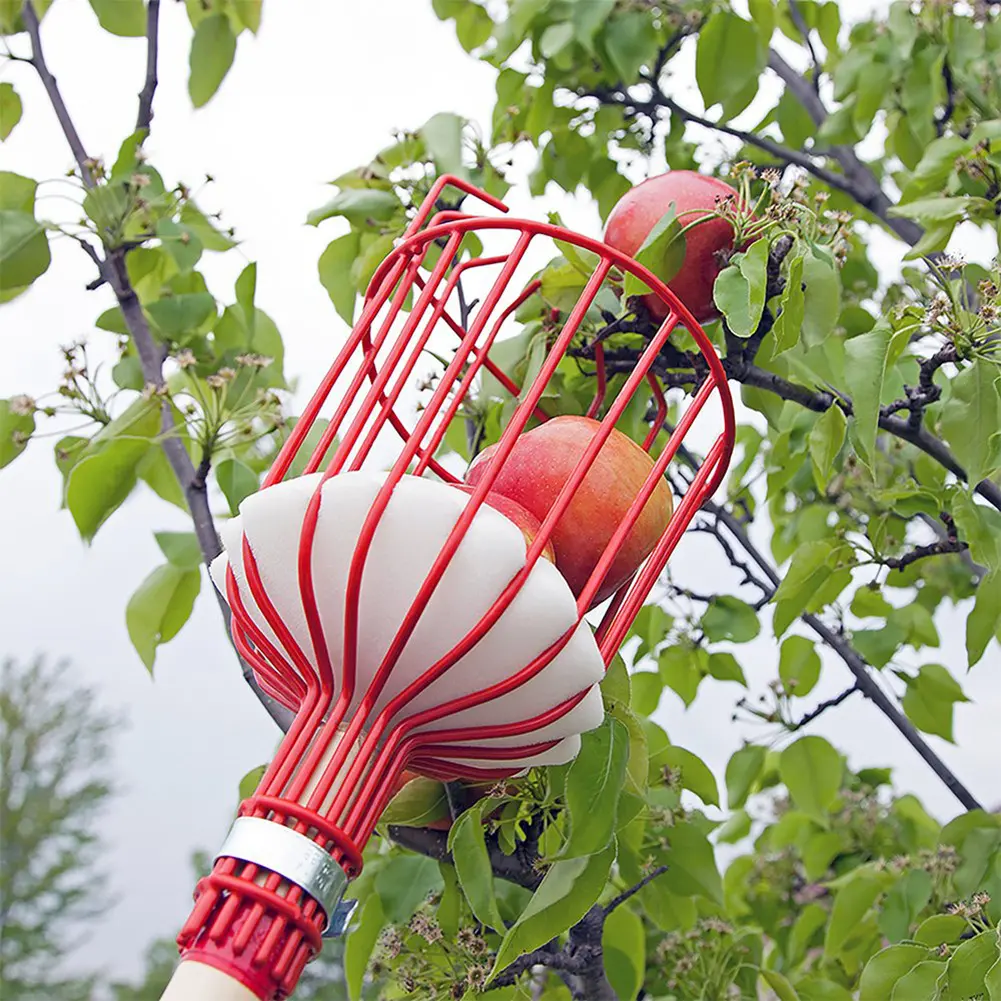 Detachable Farm Garden Tools Fruit Picker Head Carbon Steel Gardening Greenhouse Fruit Collection Picking Catcher Device