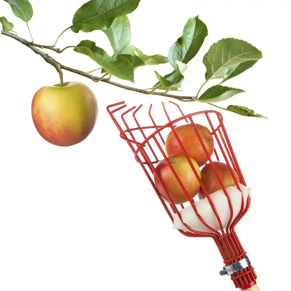 Detachable Farm Garden Tools Fruit Picker Head Carbon Steel Gardening Greenhouse Fruit Collection Picking Catcher Device