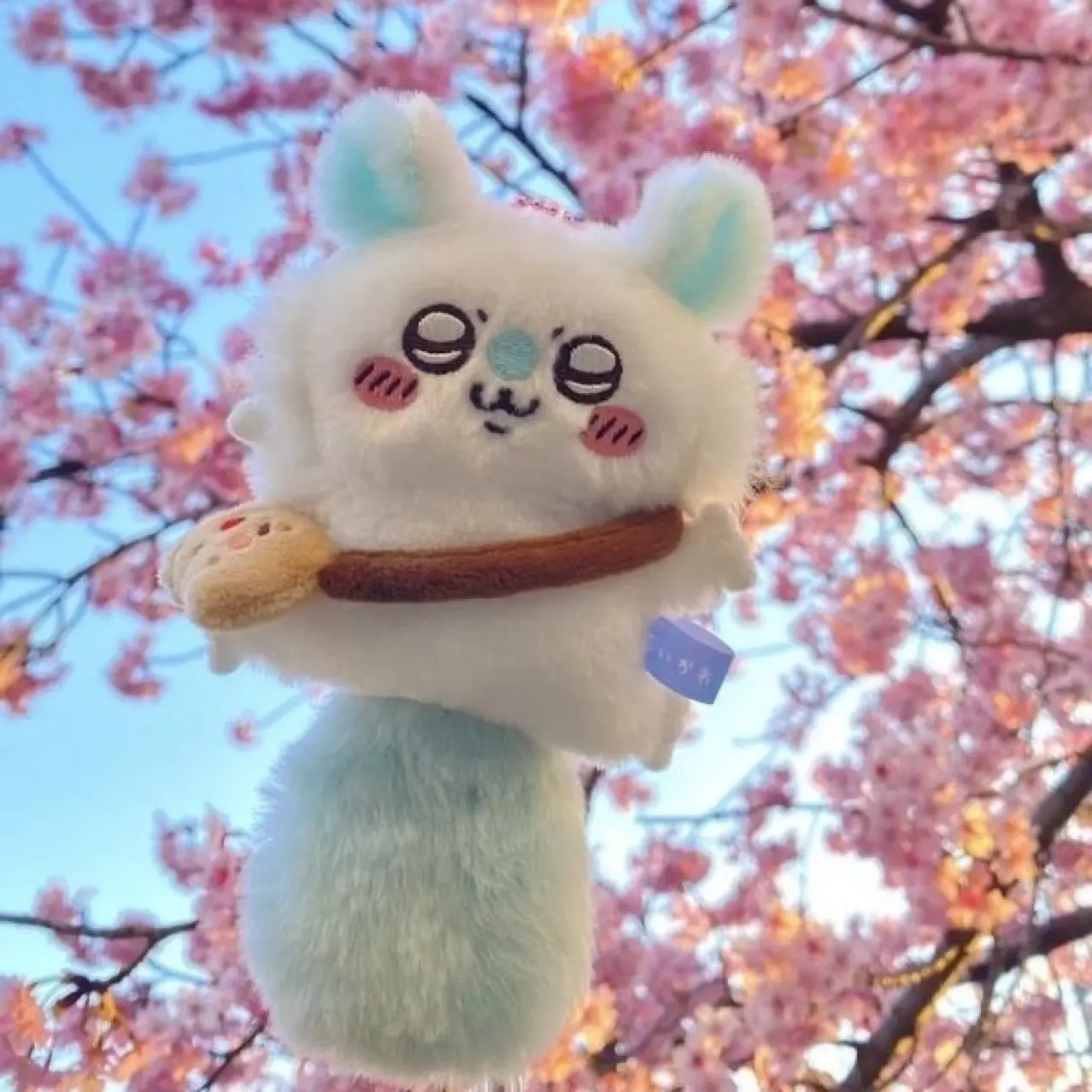 324