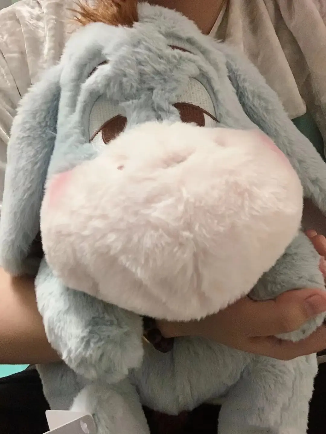 Disney Winnie The Pooh Eeyore Piglet Plush Toy Animal Donkey Pig Cartoon Anime Figure Room Decor Cushion Pillow Peluches Gift