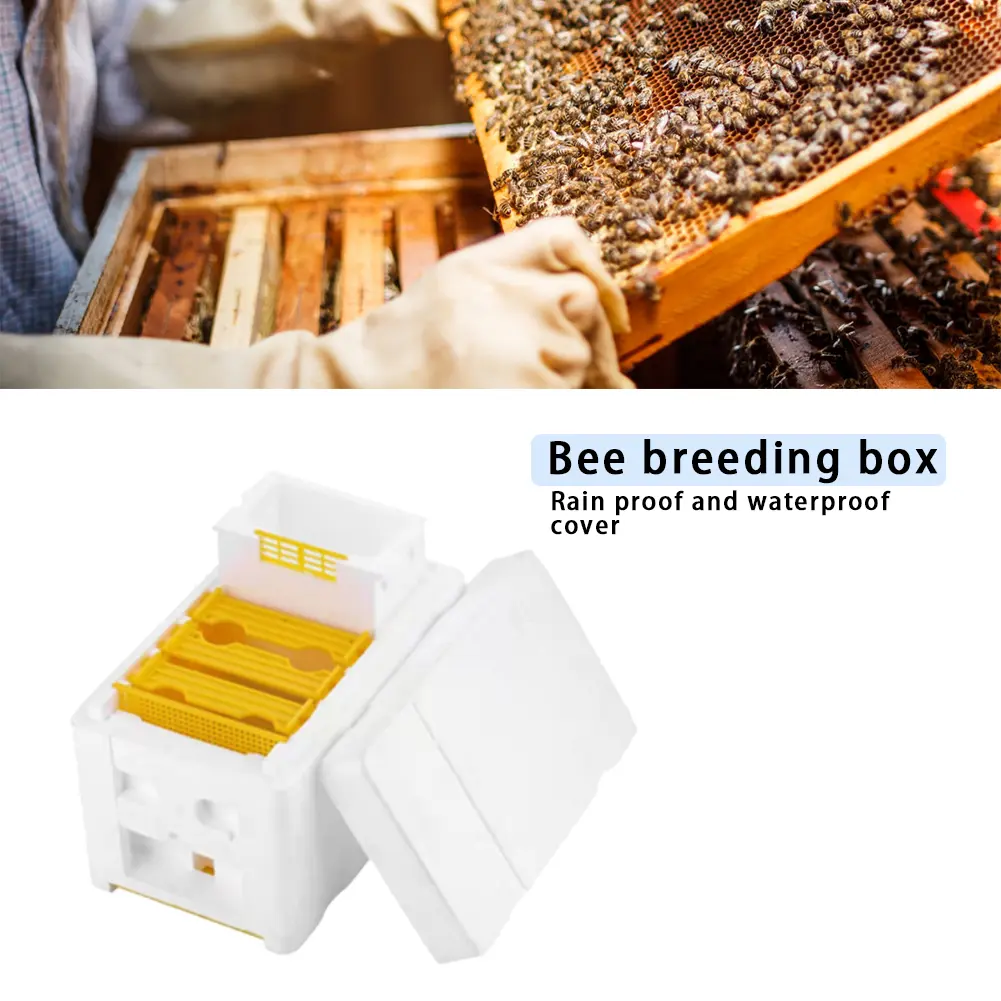Multi-Function Beehive Beekeeping King Box Foam Pollination Boxes Bee Nest Tool