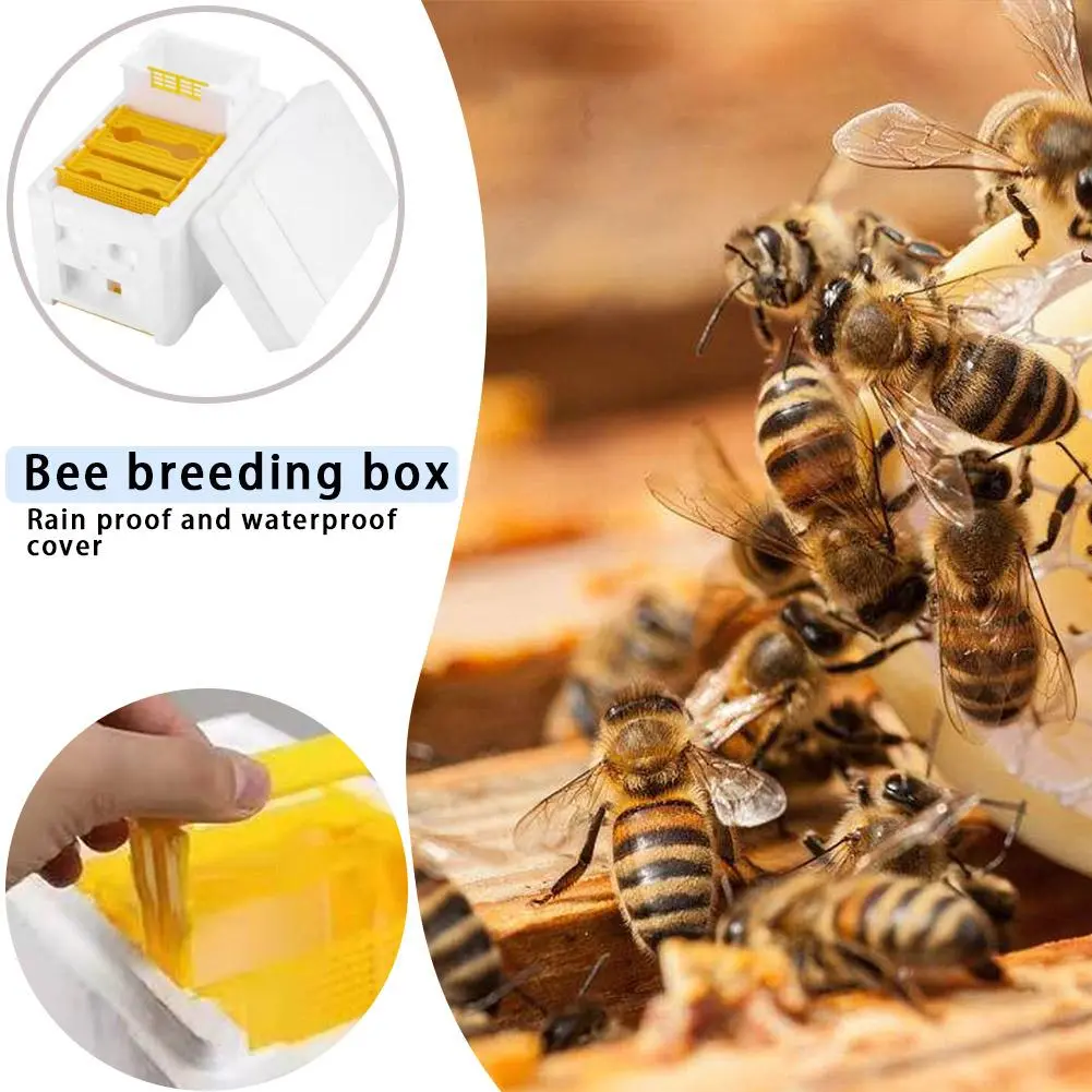 Multi-Function Beehive Beekeeping King Box Foam Pollination Boxes Bee Nest Tool