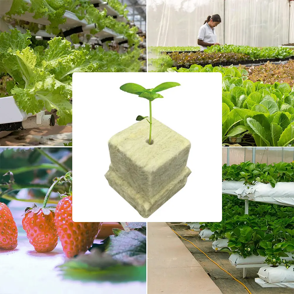 100pcs Hydroponics Seed Seedling Grow Block Multipurpose Ventilative Starter Plugs Strong Water Absorption for Plant Propagation