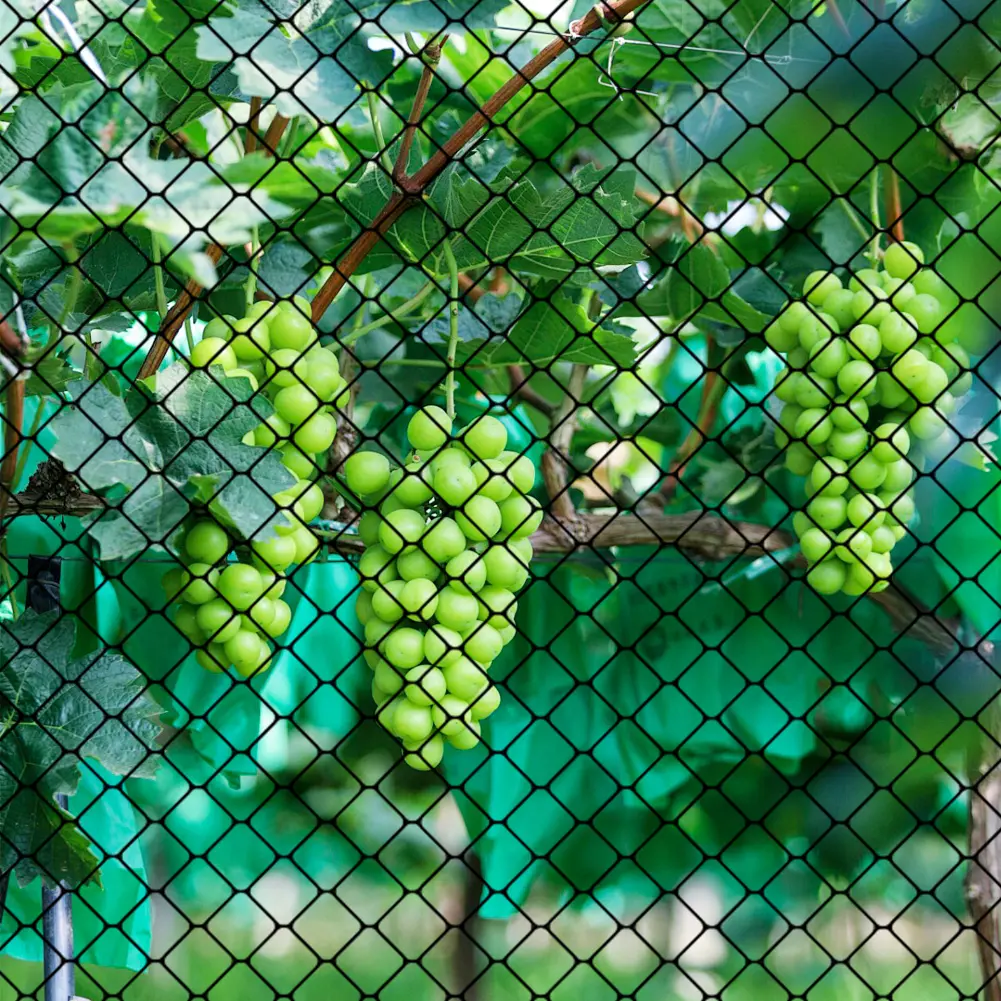 Nylon Bird Net Anti Bird Catcher Netting Pond Fruit Tree Flower Garden Mesh Protective Chicken Coop Pest Control Fishing Net