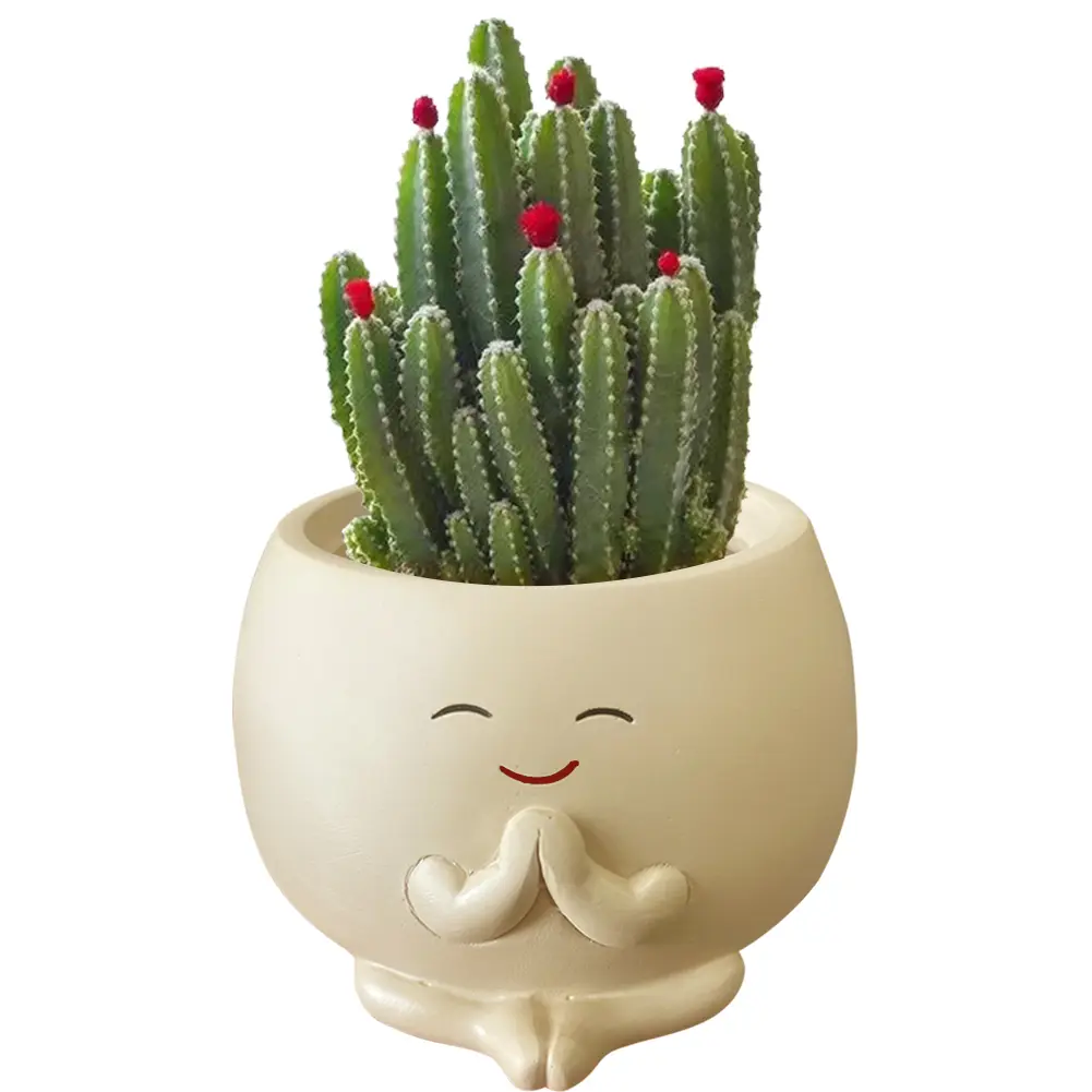 Smile Face Planter with Drainage Hole Cute Flower Pots Resin Smile Face Flower Container for Home Room Decor