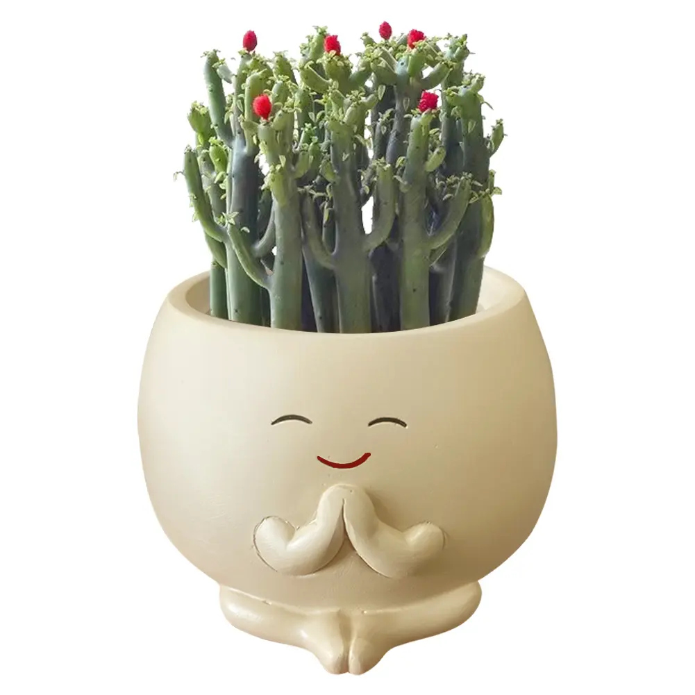 Smile Face Planter with Drainage Hole Cute Flower Pots Resin Smile Face Flower Container for Home Room Decor