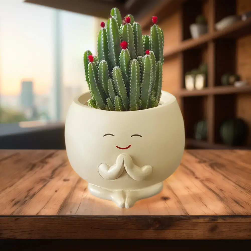 Smile Face Planter with Drainage Hole Cute Flower Pots Resin Smile Face Flower Container for Home Room Decor