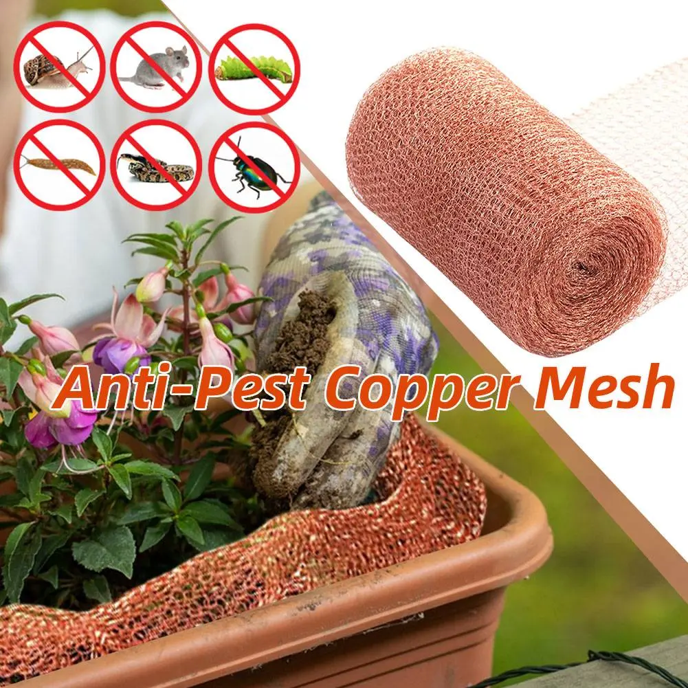 Copper Mesh With Different Specifications For Snail Fences Is Used To Block The Entrance Neck Protection Of Sail Fence Gardens