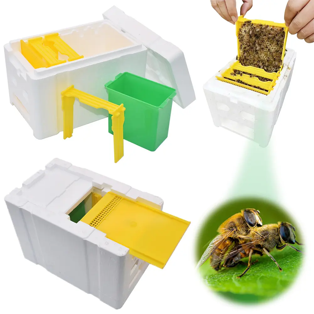 Foam Bee Box Versatile Bee Pollination Box Foam Bee Hive Queen Bee Rearing Beehive Beekeeper Suppliers