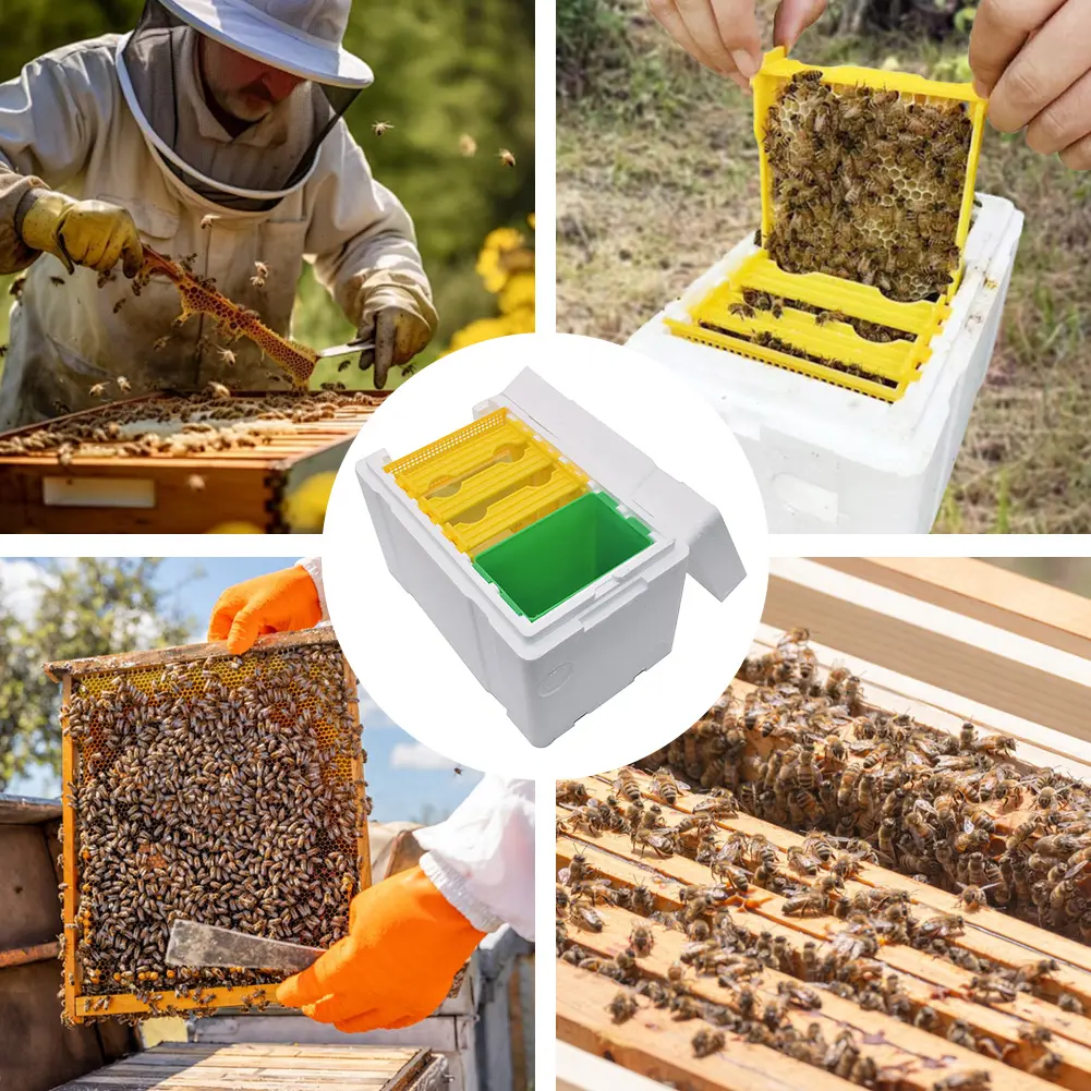 Foam Bee Box Versatile Bee Pollination Box Foam Bee Hive Queen Bee Rearing Beehive Beekeeper Suppliers