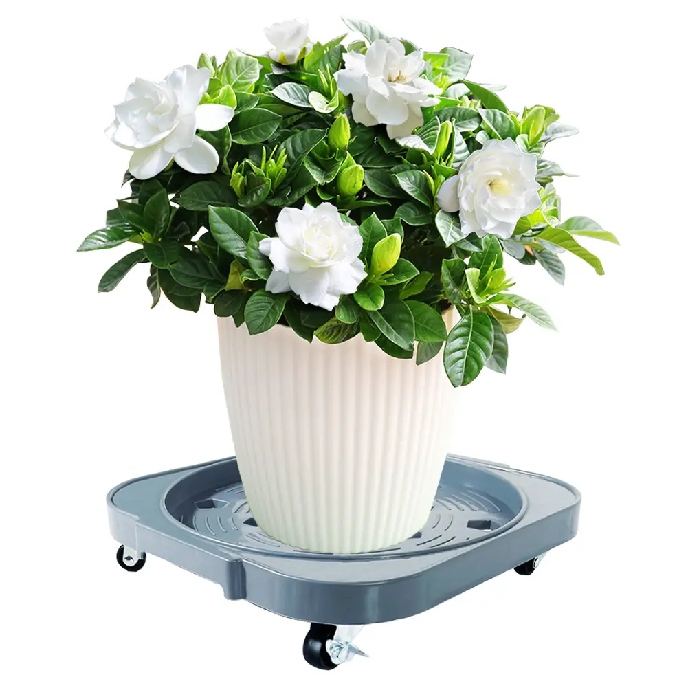 Plastic Universal Flower Pot Wheels Movable with Rollers Square Flower Pot Tray Plant Stand Holder Garden for Women Girls