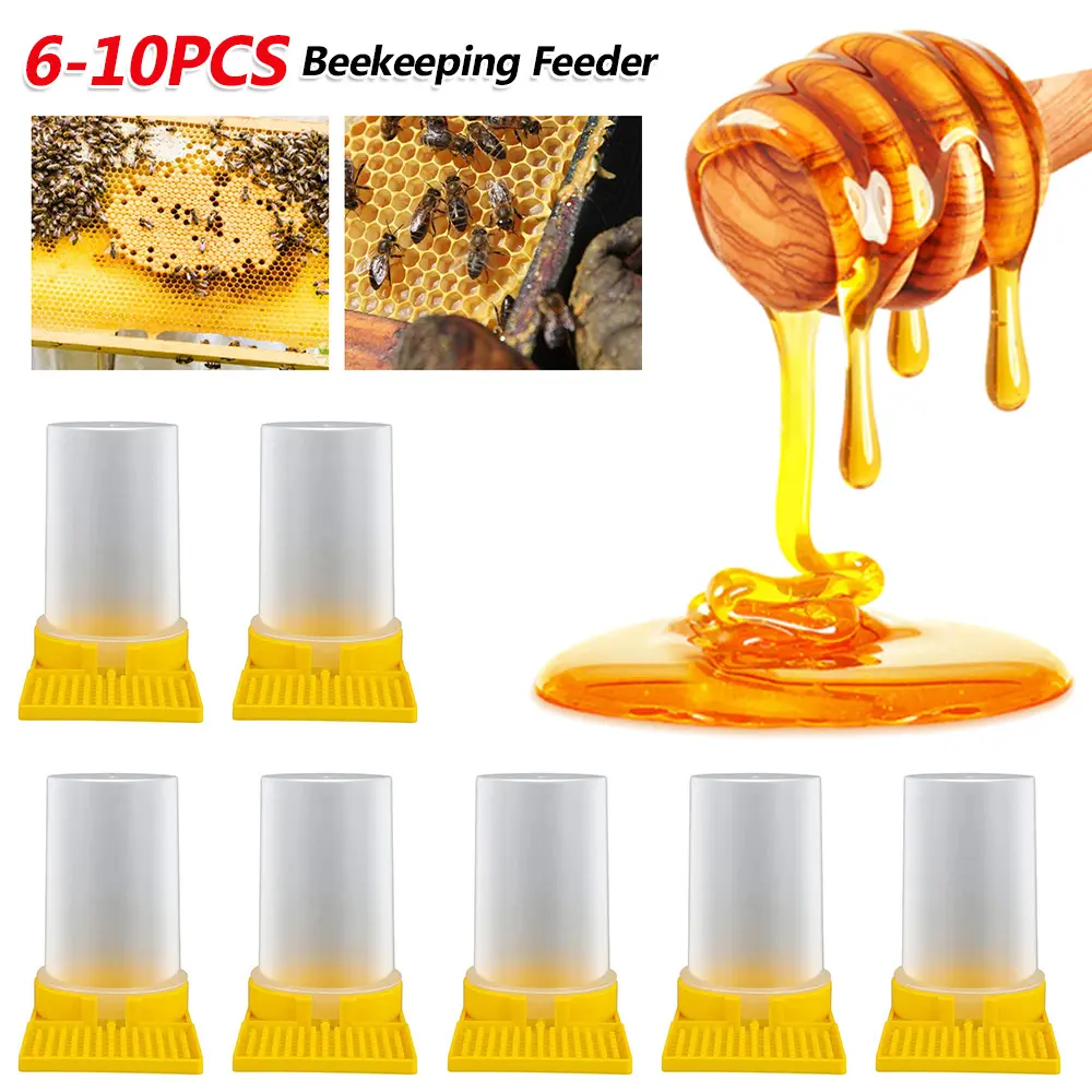 6-10PCS Bee Feeder Drinking Water Honey Bee Feeders Watering BeesSupplies Feeding Bee Drinker Beekeeping Equipment and Tools