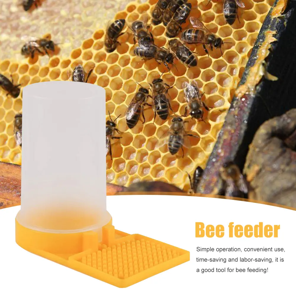 6-10PCS Bee Feeder Drinking Water Honey Bee Feeders Watering BeesSupplies Feeding Bee Drinker Beekeeping Equipment and Tools