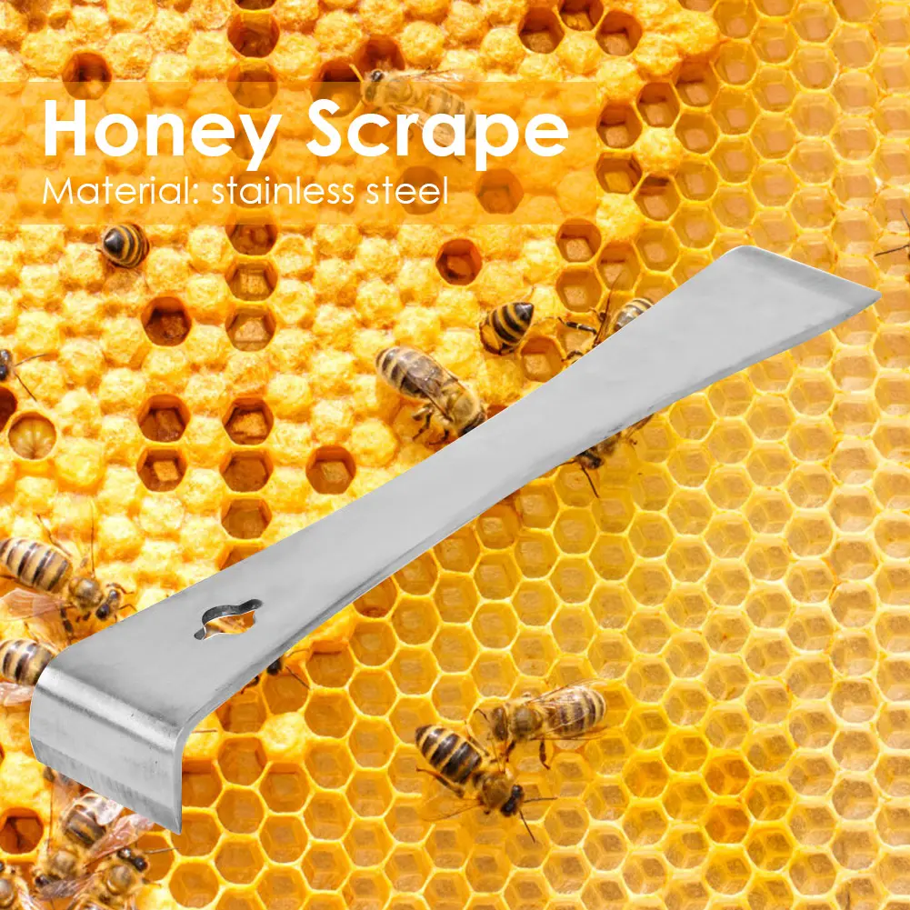 2-10PCS Stainless Steel Honey Scraping Knife Beekeepers Extracting Scraper Beekeeping HookHive Tool for Beekeeping Accessories