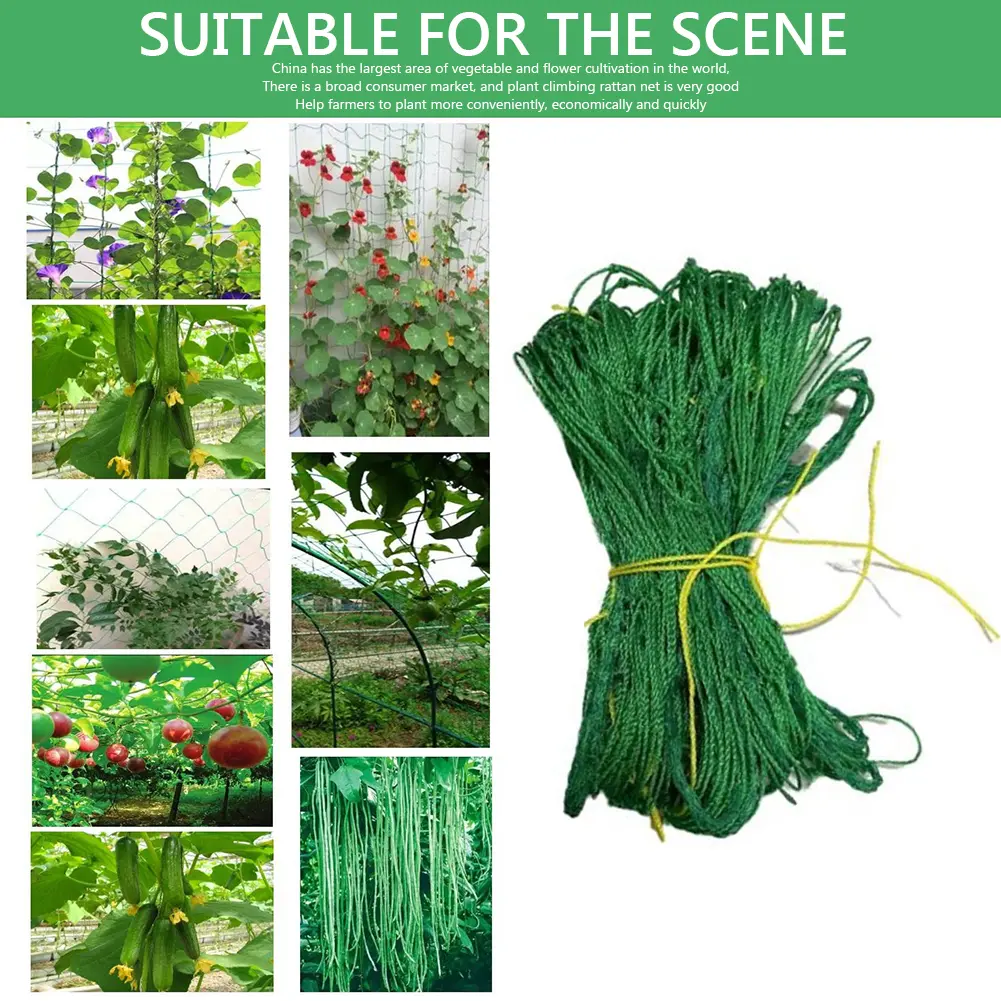 Climbing Rattan Net Green Gardening Lattice Net Ornaments Vine Climbing Rack Net Wear-resistant Heat-resistance for Grapes Beans