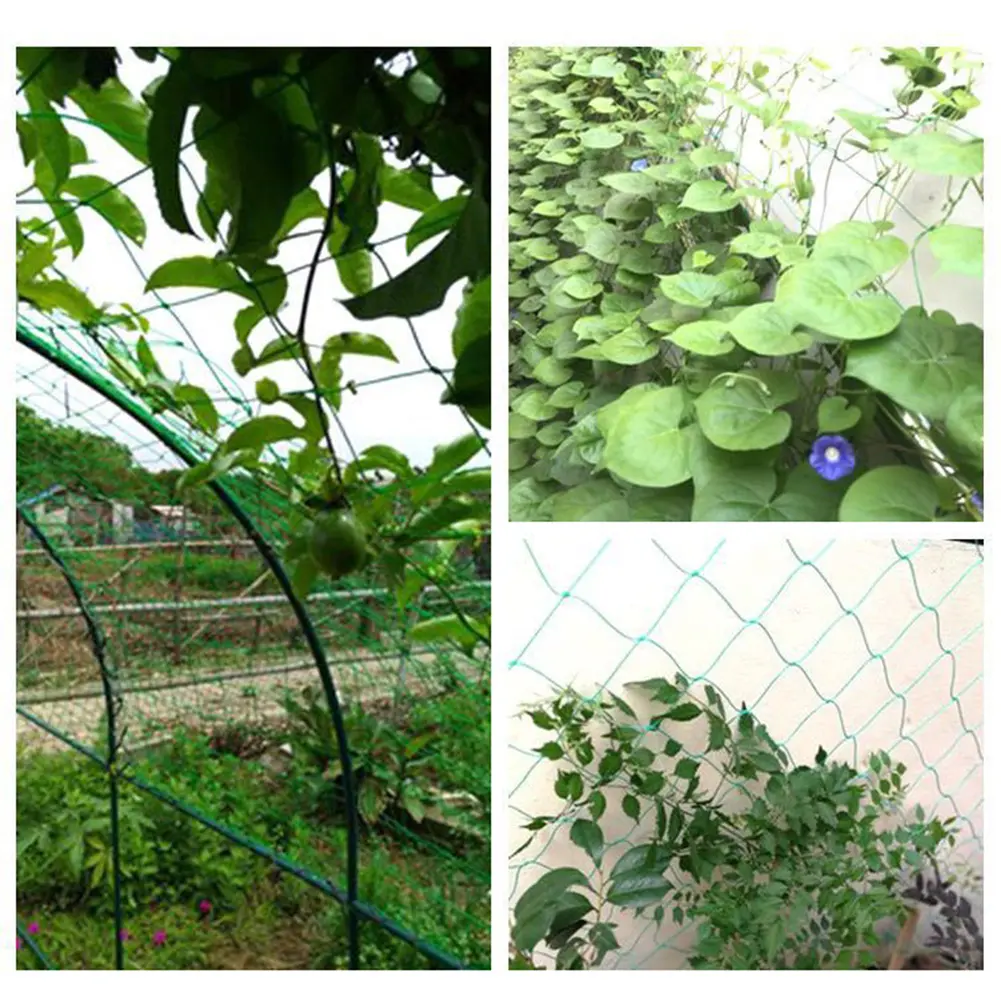 Climbing Rattan Net Green Gardening Lattice Net Ornaments Vine Climbing Rack Net Wear-resistant Heat-resistance for Grapes Beans