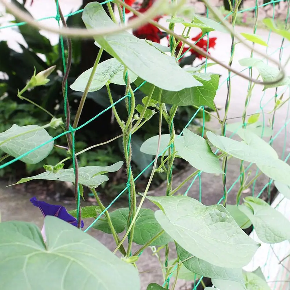Climbing Rattan Net Green Gardening Lattice Net Ornaments Vine Climbing Rack Net Wear-resistant Heat-resistance for Grapes Beans
